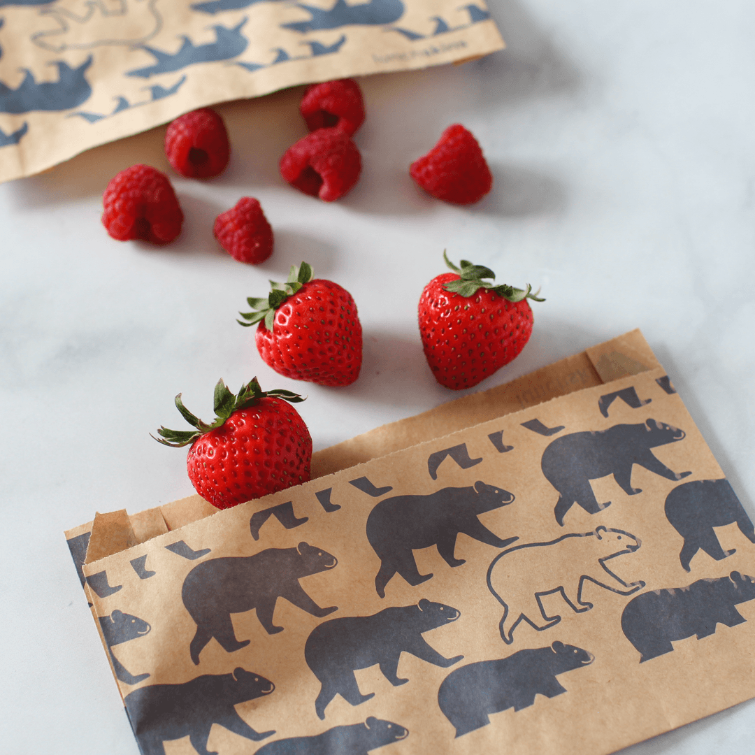 Compostable Paper Snack Bags - Lunchskins